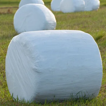 wrapped round bale silage